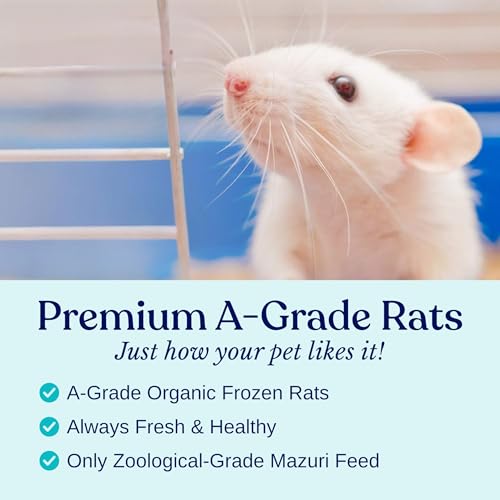 MiceDirect 5 Frozen Large Feeder Snake Food Burmese Python Monitors Birds of Prey 40 Ounce - size: 8-9 in (Pack of 5)