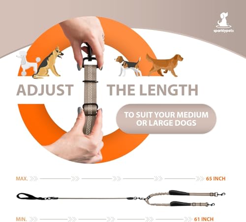 Double Dog Bungee Rope Leash - Dual Dog Lead for Medium and Large Breeds - Padded Handles, No Tangle - Flow Leash, 2 Dogs Walking Accessory - color: Brown