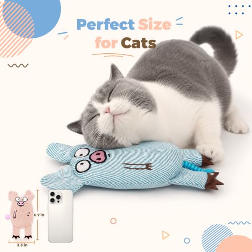 Cat Toys for Indoor Cats, 2 PCS 8000mg A+Natural Catnip Silvervine Crinkle | Interactive Cat Toys Pig with Bell Elastic Tail, Baby-Grade Plush Chew Toy Teeth Cleaning, Catnip Cat Kicker Toy for Kitten