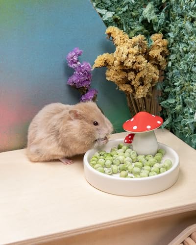Niteangel Hamster Snack & Treats Toy - Freeze-Dried Pea & No Additive | Delivers Essential Vitamins & Minerals- Small Animal Natural Treat for Dwarf Syrian Hamsters Gerbils Mice Degus or Small Pets