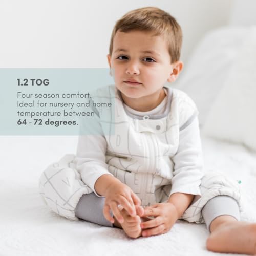 Dreamsuit Walker Toddler Sleep Sack with Feet and Legs, 12M-2T | 70% Rayon Made from Bamboo, 30% Organic Cotton, 0.8 TOG Summer, 2-Way Zipper, Buttery Soft Wearable Blanket, Cactus - color: (1.2 Tog) Alphabet, size: 12-2T