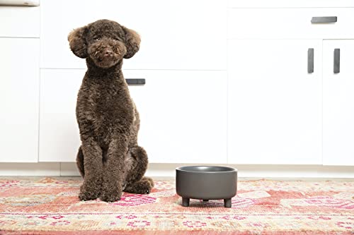 Waggo Uplift Ceramic Dog Bowl for Small Medium and Large Breeds - Heavyweight and Durable Pet Food and Water Dish Crock, Dishwasher Safe, Modern, Elevated Feeder (Black, Medium) - color: Black, size: Medium