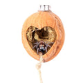 Jumping Spider Hide, A Real Shelter Made of Walnut Skin, Magnetic Hidden Jumping Spider Habitat,Handmade Spider Enclosure Accessories, Jumping Spider Enclosure