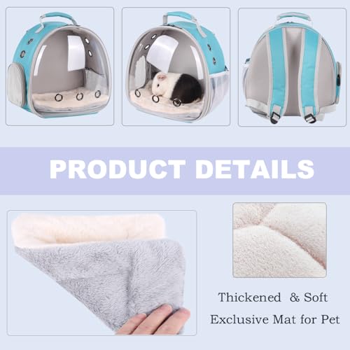 Portable Small Animal Backpack Travel Breathable Pet Carrier Bag Cages for Guinea Pig, Rabbit, Bearded Dragon, Squirrel, Tortoise, Bird, Lizard, Sugar Glider - color: Green
