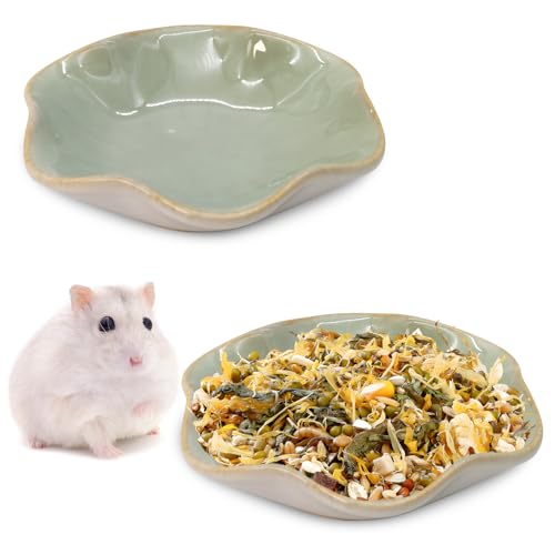 BNOSDM Shallow Ceramic Hamster Food Dish 2 Pcs Small Animals Food Bowl Lotus Feeding Dishes for Gerbils Mice Rats 4.5in (Green) - color: Green Lotus