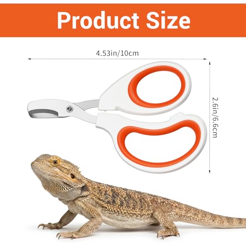 Bearded Dragon Nail Clippers, Stainless Steel Pet Nail Clippers, Reptile Nail Clippers Grooming Tool for Bearded Dragons, Small Animals, Reptile Care Supplies