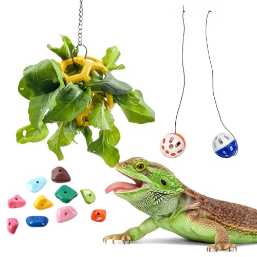 13PCS Bearded Dragon Toys, Set Including 1 Turtle Feeder Ball, 2 Bells Exercise Balls, 10 Climbing Stones,Interactive Toys for Reptile Tank, Lizard and Gecko Play