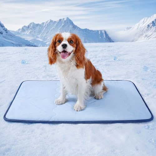 Deconovo Dog Cooling Mat, Reversible Cool-to-Touch Summer Pad with Quilted Soft Fill, Breathable Lightweight Pad for Bed/Couch/Crate, Machine Washable, Light Blue, 29x40 Inches - color: Light Blue, size: 29"W x 40"L (Pack of 1)