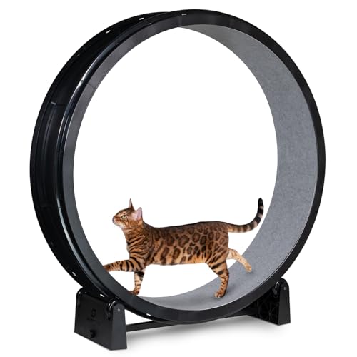 One Fast Cat - Cat Exercise Wheel - Made in the USA - 48" Diameter - Gen. 7 | Black with Gray Felt Traction Pads and Solid Black Inline Wheels - color: Black Wheel / Gray Felt / Black Inline