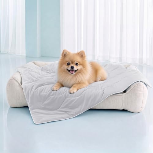 Luciphia Cooling Dog Blanket, Q-MAX>0.5 Pet Throw for Couch, Crate & Bed | Cools on contact—no power needed. Soft, breathable, gentle on sensitive skin; dog & cat cooling throw, Light Grey,25x35 - color: Light Grey, size: 25x35 inches