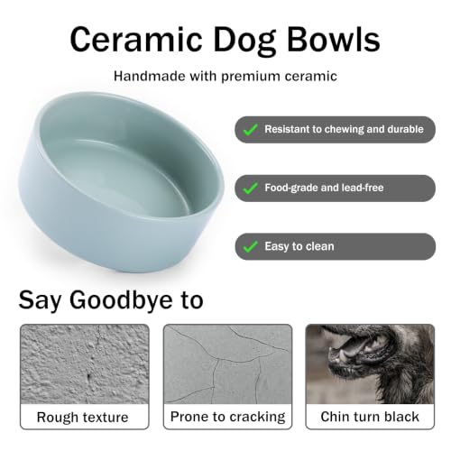 MateeyLife Ceramic Dog and Cat Bowls with Stand, 2-Pack Food and Water Bowl Set - Non-Slip Pet Bowls for Cats,Puppies and Small Dogs, 13.5OZ（Green） - color: Green, size: S-1.5Cup