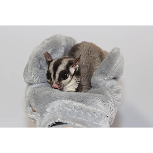 Exotic Nutrition Calming Glove - Comfy Bonding Mitt for Sugar Gliders, Hedgehogs, Rats, Hamsters, & Other Small Pets - size: 1 Pack