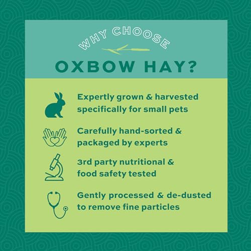 Oxbow Western Timothy Hay, Rabbit & Guinea Pig Hay, High Fiber, USA, 40 oz | Oxbow Timothy Hay, Bunny Hay For Rabbits, Guinea Pigs, Bunnies and Chinchillas, Hand-Sorted, De-Dusted, Made in USA - size: 40 Ounce (Pack of 1)