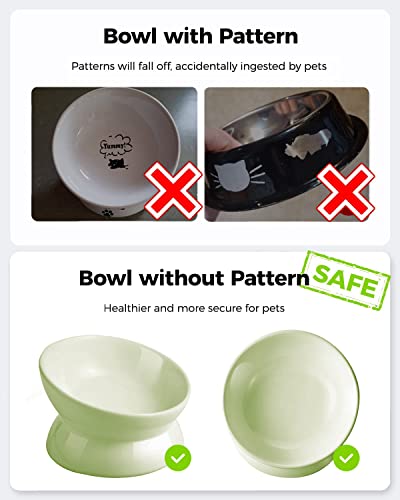LoeJan Elevated Cat Food Bowl, 5 Oz Ceramic Raised and Tilted Water Bowl, Anti Vomiting and Protect Pets' Spines Dishes for Small Dog, Fat Faced Cat, Kitten (Green, 1 Pack) - color: Green