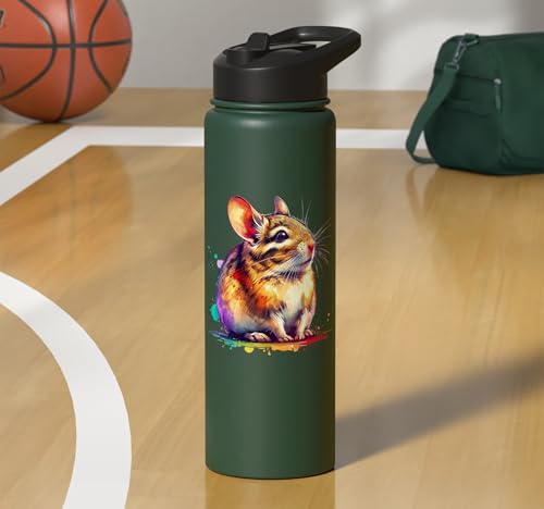 Degu Stainless Steel Insulated Water Bottle - color: Dark Green