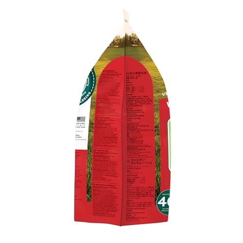 Oxbow Western Timothy Hay, Rabbit & Guinea Pig Hay, High Fiber, USA, 40 oz | Oxbow Timothy Hay, Bunny Hay For Rabbits, Guinea Pigs, Bunnies and Chinchillas, Hand-Sorted, De-Dusted, Made in USA - size: 40 Ounce (Pack of 1)