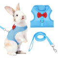 Rabbit Harness and Leash, Small Pet Cute Vest Harness Leash Soft Adjustable Buckle Breathable Mesh (M, Sky Blue) for Bunny Kitten Small Pig Puppies Camping Hiking Training - color: Sky Blue, size: M