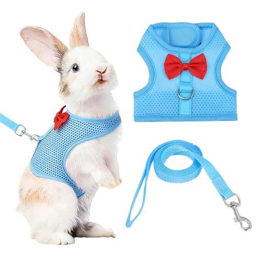 Rabbit Harness and Leash, Small Pet Cute Vest Harness Leash Soft Adjustable Buckle Breathable Mesh (M, Sky Blue) for Bunny Kitten Small Pig Puppies Camping Hiking Training - color: Sky Blue, size: M