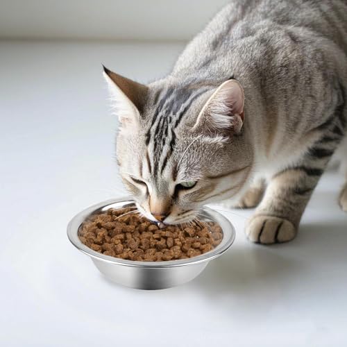 ZUFECY 2-Pack Cat Bowls, 5.5'' Stainless Steel Cat Bowl, Pet Food & Water Dishes, Non-Tip and Easy Clean Kitten Bowls for Small Cats, Indoor/Outdoor Use