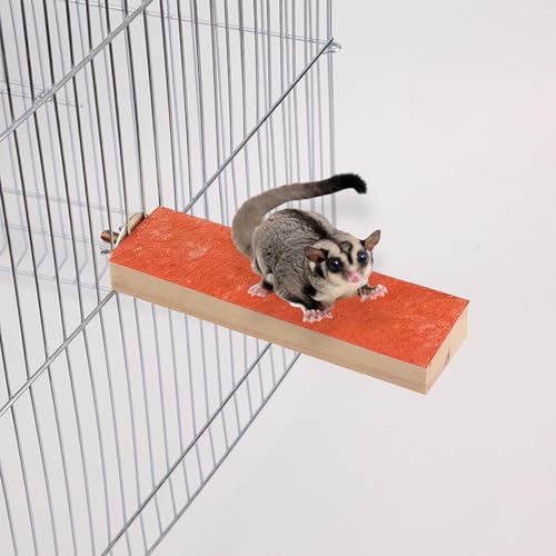 4 Pcs Wood Sugar Glider Toys, Sugar Glider Cage Accessories, Small Animal Climbing Cage Steps, Colorful Sharpening Claws Climbing Stand for Sugar Glider Hamster Chinchillas Rats