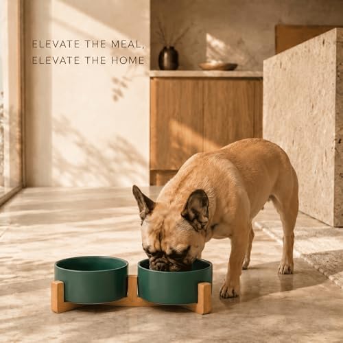 SPUNKYJUNKY Ceramic Dog and Cat Bowl with Wood Stand Non-Slip Matte Glaze Weighted Food Water Set for Cat Medium Dog 28.7 OZ - color: Green × 2, size: 3.6 cups