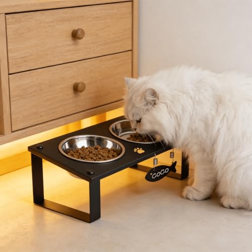 Elevated Cat Bowls with Splash Proof Mat for Kitten Puppy, 10° Tilted Raised Cat Bowl Stand Anti-Vomiting, 2 Wide Shallow Stainless Steel Bowls, Whisker Friendly, 3.5" Tall - color: Black-2bowls