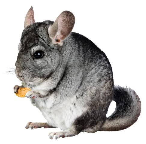 Lixit Blue Beauty® Chinchilla Dust Powder - Dry Bath Grooming Dust for Hamsters, Gerbil, Degus, and Small Animals - Made in the USA (18 Pound) - size: 18 Pound