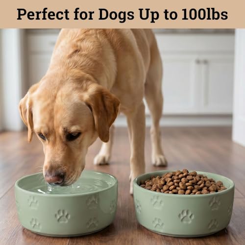 Ceramic Dog Bowl Set of 2 with Anti-Skid Base 7.5" W x 3" H, 6 Cup Capacity | Thick Ceramic, Dishwasher Safe, Anti-Skid Rubber Base, 6 Cups per Bowl, Ceramic Food & Water Bowls Set of 2 for Large Dogs - color: Sage Green, size: Large