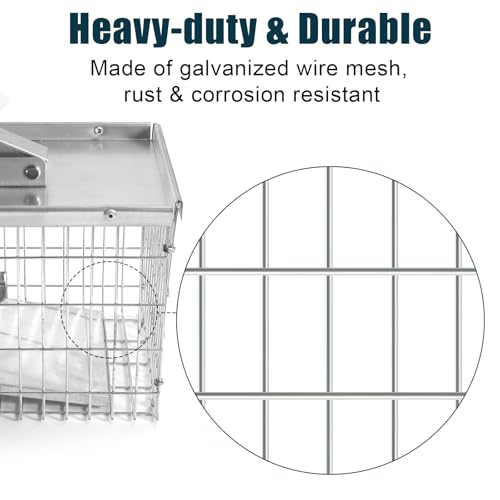 Live Animal Cage Trap, Heavy Duty Humane Cage Trap for Squirrels, Chipmunks, Rabbits, and Small Rodents, Safely Catch & Release - 1 Trap