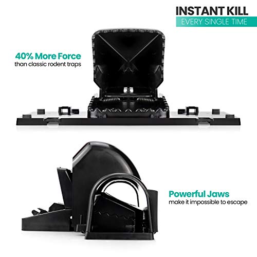 eXuby Pet-Safe & Child-Safe Rat Traps w/Tunnel Design – Dual Entry for Better Capture Rate - No Harmful Poison - Prevents Accidental Triggering - Avoid Finger Snapping - Setup in Seconds. (2 Pack) - style: 2 Pack