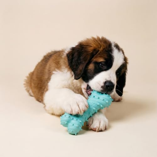 Playology Puppy Teething Bone Dog Chew Toy - Jumbo, Peanut Butter Scent | Great For Puppies and Young Dogs, Teeting Nubs Soothe Gums, Durable Rubber, Large Breed - size: Jumbo, style: Peanut Butter