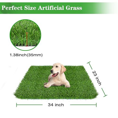GLOBREEN 34" x 23" Fake Grass Pee Pad for Dogs Potty Training Turf Pets Mat - Indoor Outdoor Use - size: 23x34 Inch