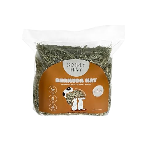 Bermuda Hay – High-Fiber, Low-Calcium Coastal Grass for Rabbits, Guinea Pigs & Small Pets – All-Natural, Hand-Packed, Timothy-Allergy Friendly (24 oz) - size: 1.5 Pound (Pack of 1)