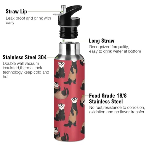 Ferrets Red Water Bottle Kids Stainless Steel Water Bottle with Straw Lid, Leak Proof Boys Girls Insulated Tumbler Cup for School 20 oz - color: Multi34