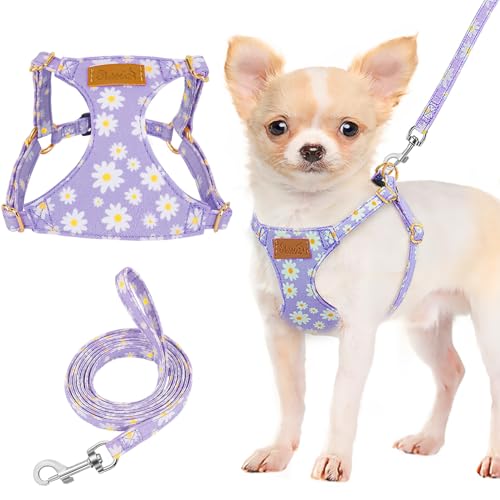 Lukovee Puppy Harness and Leash Set, No Pull, Lightweight Step in Vest | Adjustable, Soft Suede Vest, Easy Put on and off Pet Harness with Snap Buckle & 51in Leash for Small Medium Dogs (Purple,XXS) - color: Purple Daisy, size: XX-Small ( 2.2-6lb )