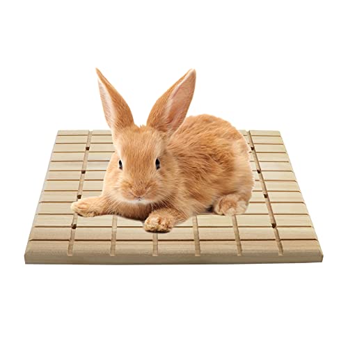 Litewoo Rabbit Scratch Board Claws and Teeth Care Chew Toys Bunny Wood Pad | Natural wood, antiskid & edible, rabbit scratch board for digging/chewing, for chinchilla/guinea pig, 10.63"x7.87"x0.6" - color: A 10.63x7.87 inch