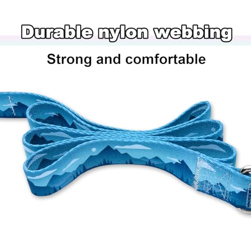 5ft Nylon Dog Leash with Soft Neoprene Handle for Small Dogs, Blue Sunset - color: Blue Sunset, size: 5/8in x 5ft - Single Handle