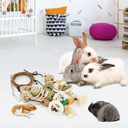 Bissap Bunny Chew Toy, Rabbits Cage Hanging Chew Toys and Treats Grapevine Wreaths Rattan Ring with Snacks for Guinea Pigs Chinchillas Hamsters Rats and Other Small Pets Teeth Grinding - size: 1 PCS