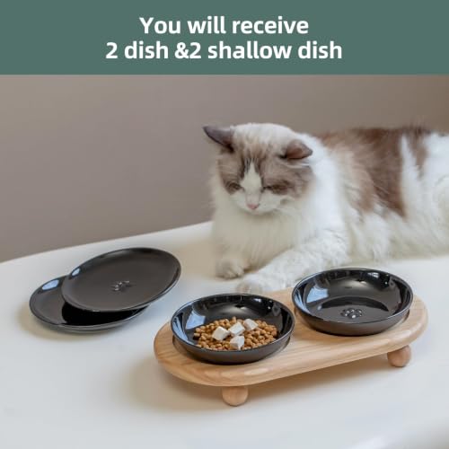 Havniva Elevated Cat Bowls, Cat Food and Water Bowl Set, Ceramic Cat Bowl | Raised Cat Food Bowls, Whisker Friendly, 5.6” Shallow Cat Dishes + 6” Wide Cat Plates, Non-Slip Wood Stand, Two Heights - color: Black, size: 2 Bowls+2 Dishes