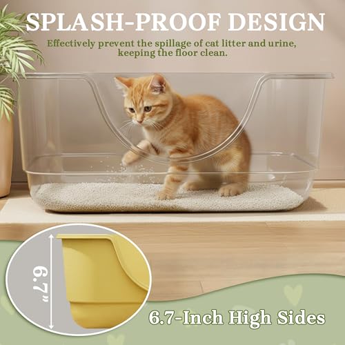 Low Entry Small Litter Box for Kittens, Kitty Plastic Litter Boxes, Open Top, Anti-Splash High Sided Litter Tray Pan for Medium Pets, Puppy, Easy to Clean, 15.7" L*11.8" W*6.7" H (Black) - color: Black-1 Pack