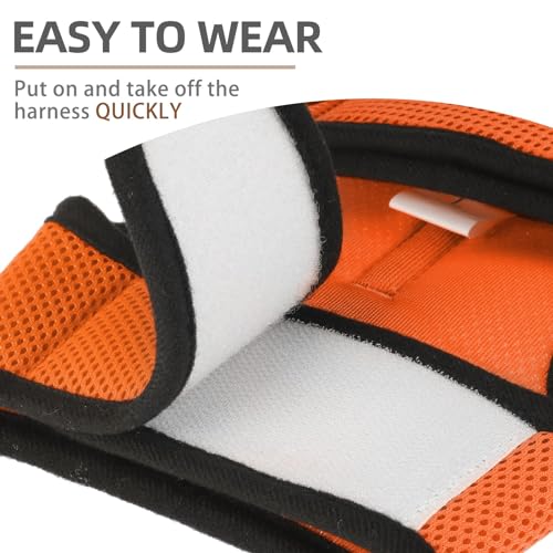 PUPTECK Soft Mesh Cat Vest Harness and Leash Set Puppy Padded Pet Harnesses Escape Proof for Cats Small Dogs Rabbits Bunny - color: Orange, size: L(NECK 8.5"-10.5", CHEST 12.5"-15", 6-10 lbs)