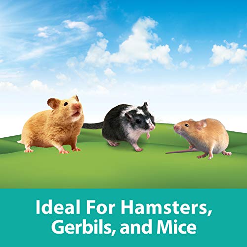 Kaytee CritterTrail Fun-nel 16-Piece Assorted Hamster Tubes | Expand play space. Hamster tunnels for habitat expansion. Small animal tubes & tunnels, easy-clean, comfort grip - size: 16-Piece Assorted Tubes Kit
