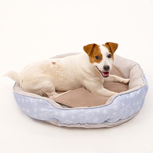 Paw Inspired Round Washable Pee Pads for Dogs, 17 Inch Size, 2 Pack | XS (Extra Small) Reusable Puppy Pad, Waterproof Mat, Leakproof, Non-Slip Liner for Potty Training, Whelping - size: 17" (2 pack)