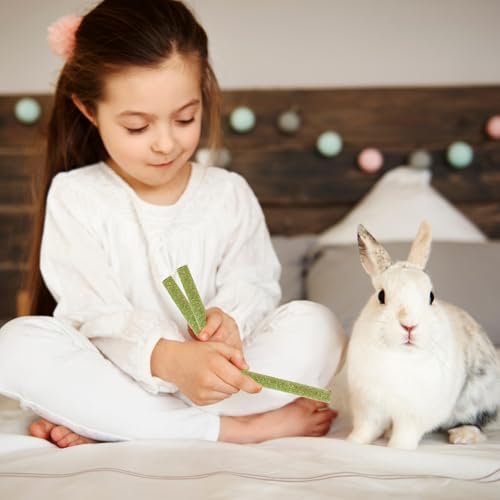 WDEFUN 45 PCS Timothy Hay Sticks for Rabbits Natural Molar Teeth Stick Chew Toys for Bunnies Chinchillas Guinea Pigs Hamsters and Other Small Animals Treats - size: 0.27 Ounce (Pack of 45)