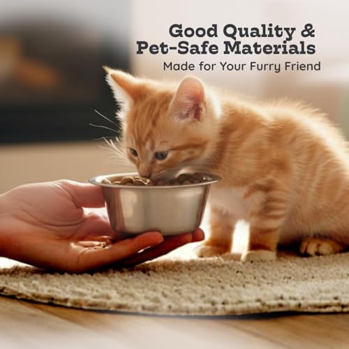 2 Pack Shallow Stainless Steel Cat & Dog Bowls, 1 Cup (8 oz) Each, Heavy Duty Small Pet Only Puppy Kitten & Birds Feeder Replacement Bowl, Rust Resistant Metal Cat Dishes for Food & Water - size: 1 Cup (8 oz)