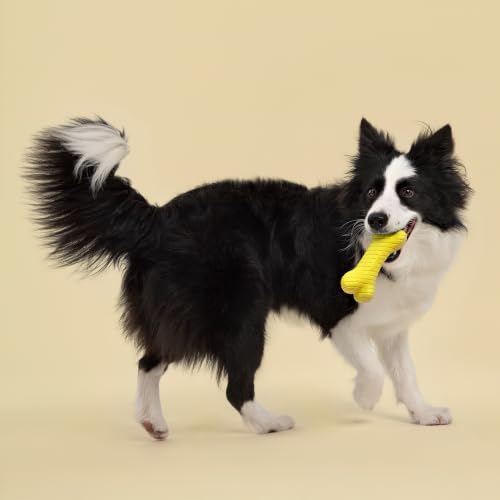 Playology Dual Layer Bone Dog Chew Toy - Jumbo, Chicken Scent | Rubber Construction, all natural scent, Heavy Duty Design, Encapsiscent Scent Technology, 50 lbs Plus Breeds, Yellow - size: Jumbo, style: Chicken