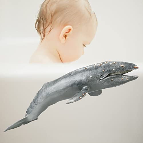 Gemini & Genius Sea Life Gray Whale, Large Grey Whale Realistic Wildlife Toy Replica Hand Painted Whale Figurine, Ocean Model Toy, Educational, Role Play, Swim, Bath and Collectors for Kids | Replica Hand Painted Whale Figurine, Ocean Model Toy, Education