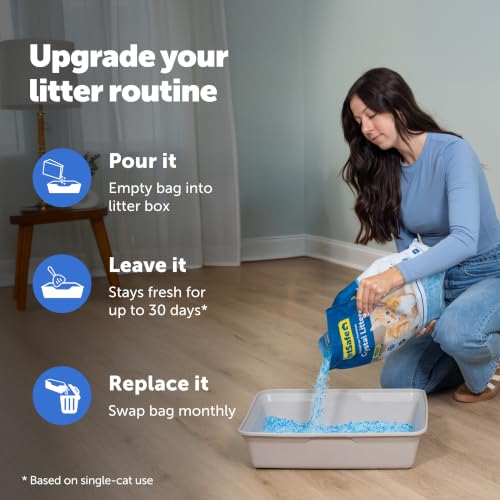 PetSafe ScoopFree Premium Crystal Litter, Fresh Scent, 8Lb Bag, 3 Pack | 5x Faster Odor Control than Clumping Clay Litter, 99% Dust-Free, Low Tracking Crystals, Compatible with Any Cat Litter Box - size: 3-Pack (8 lb Bag)