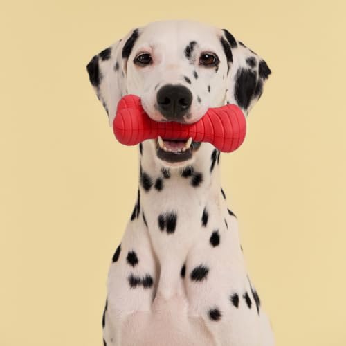 Playology Dual Layer Bone Dog Chew Toy - Jumbo, Beef Scent | Rubber Construction, All Natural Scent, Heavy Duty Design - size: Jumbo, style: Beef