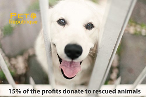 Dog Nail Clippers - Puppy, Large Bird Claws Nails Trimmer Tool – Sharp and Durable Angled Blades with Protective Guard - Size Large with Filer